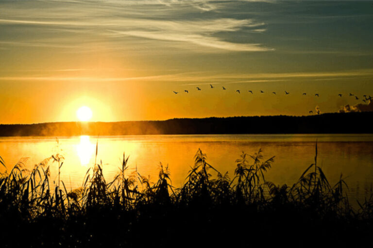 Abendstimmung auf dem See